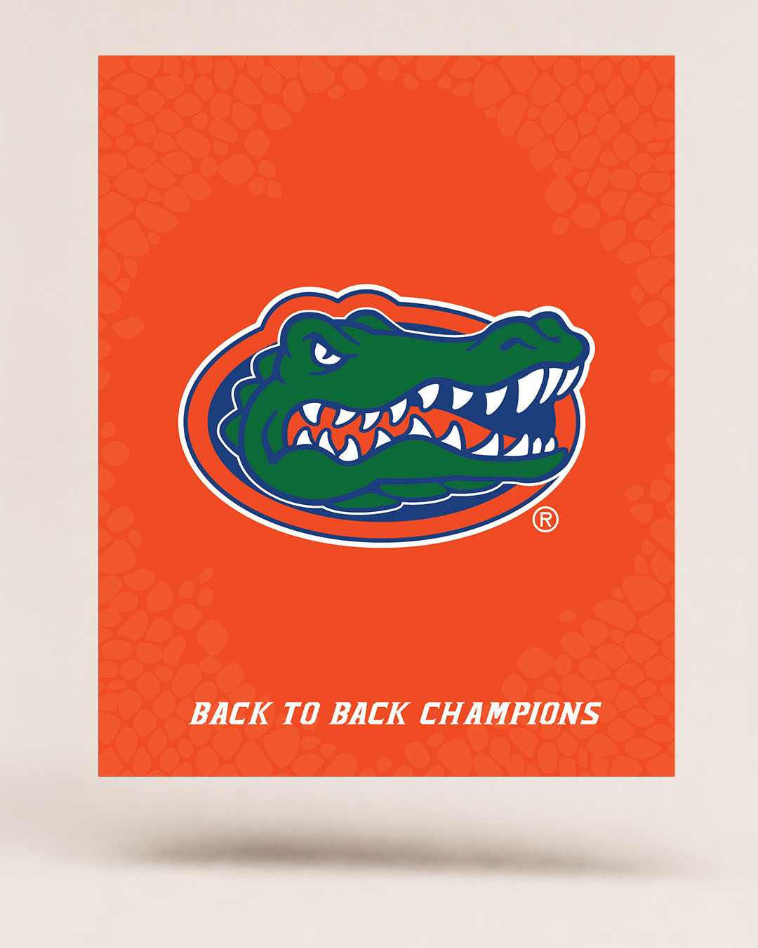 Florida Gators 2007 National Championship – 3D Gameprint